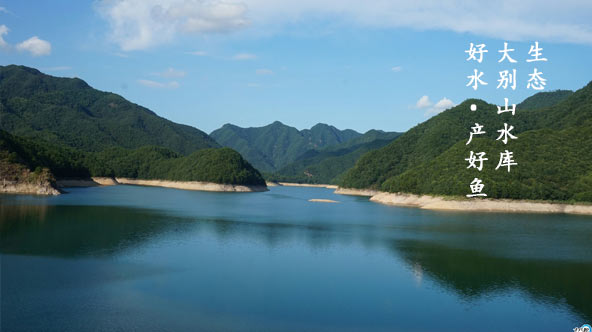 生态大别山