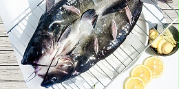 为什么越来越多的餐饮企业选择水库鱼？