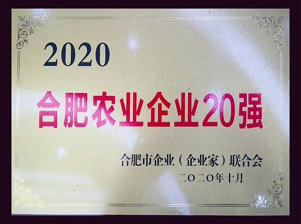 富煌三珍入选2020年合肥市农业企业20强