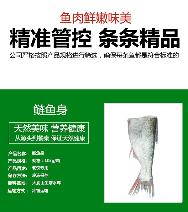 鲢鱼身_03