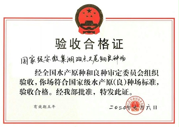 深耕鮰鱼产业20年的龙头级企业——富煌三珍