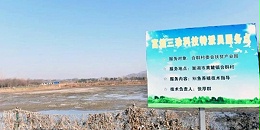 为脱贫攻坚增亮色，助乡村振兴开新篇——富煌三珍鮰鱼产业