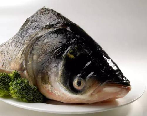 胖头鱼-安徽三珍食品
