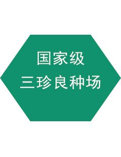 北京三珍