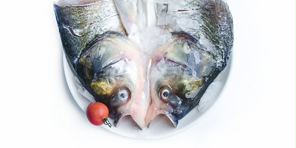 鲢鱼头-三珍食品官网