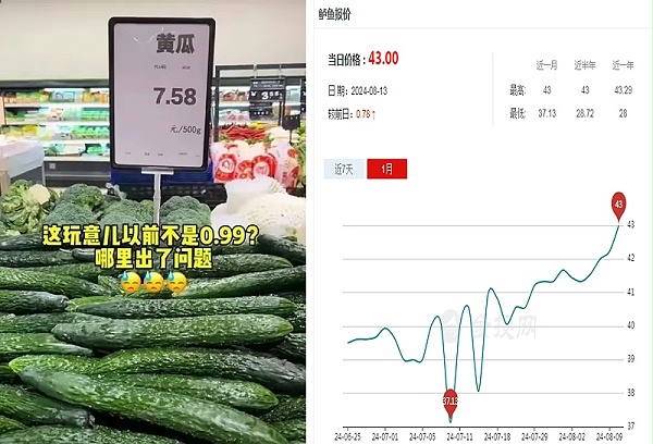 黄瓜鲈鱼