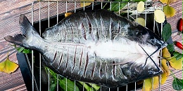 揭晓！开背鮰鱼成纸包鱼食材界的“重点关注对象”