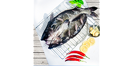 当下烤鱼行业现状如何