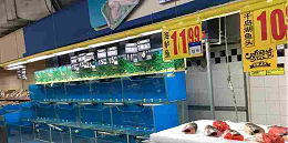 超市下架活鱼引关注，知名连锁烤鱼店纷纷选择冷冻开背鱼