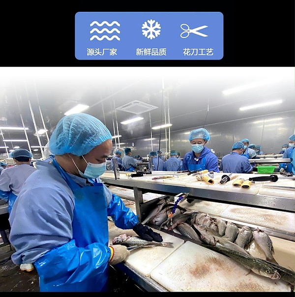 金凤鱼