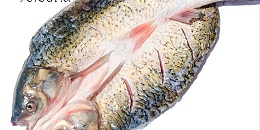 三珍食品开背鱼-三珍食品官网