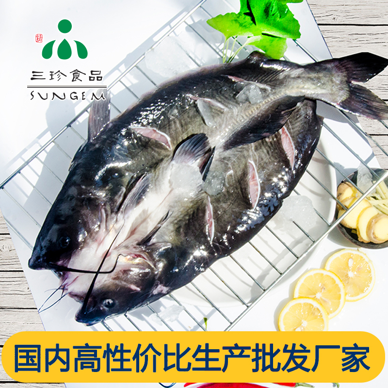 开背清江鱼-三珍食品官网