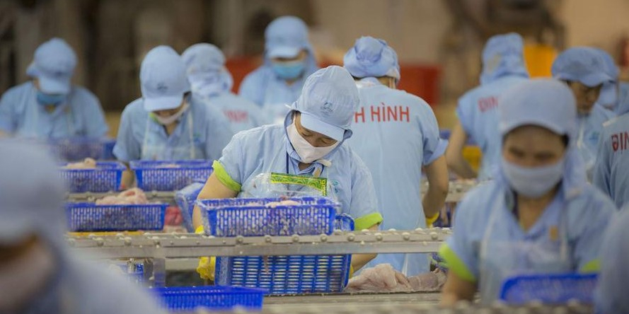 越南巴沙鱼价格持续上涨餐饮企业如何应对