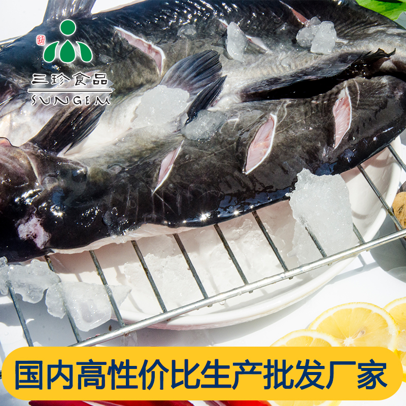 开背鮰鱼-三珍食品官网