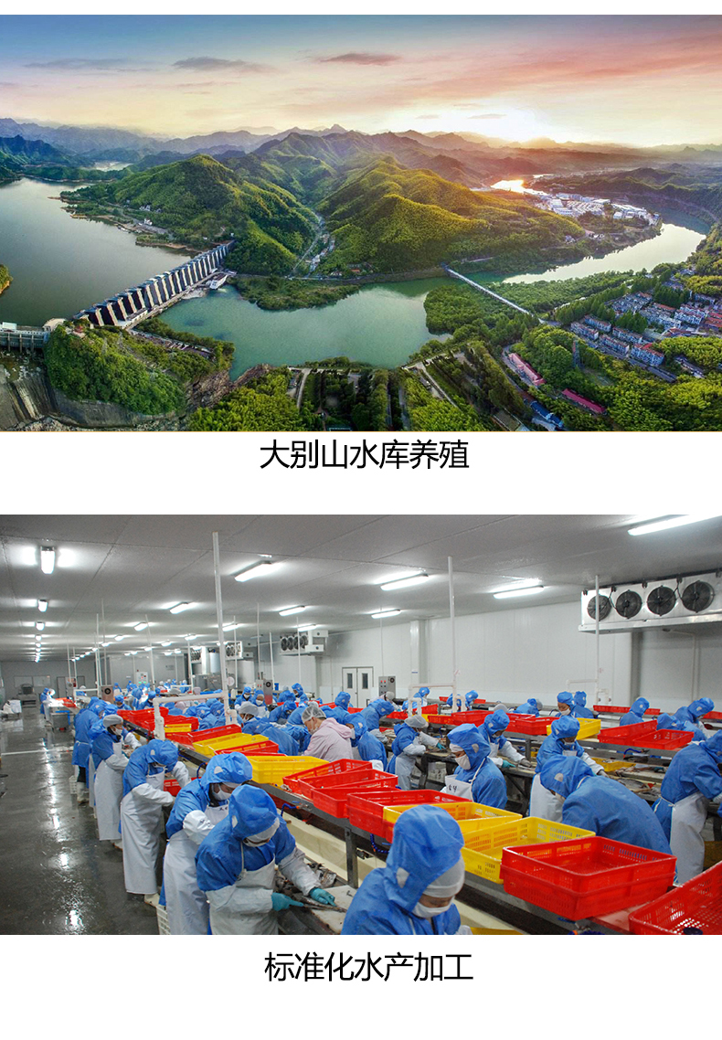鱼头详情页_07