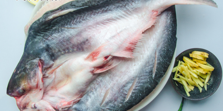 巴沙鱼食材源头危机重重，食材供应链企业能否解围？