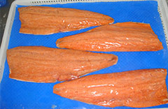 Salmon Fillets