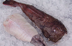 Monkfish