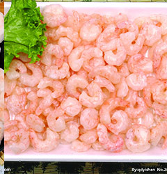 PINK Shrimps