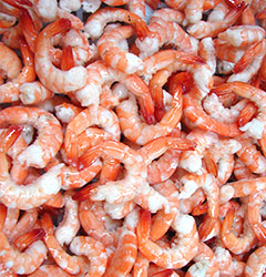 Vannamei Shrimps