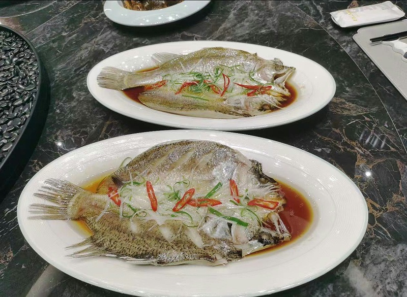 鱼满仓金目鲈鱼