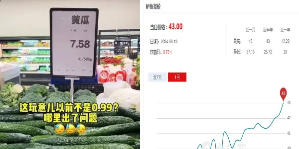 高价海鲈的“平替”找到啦！餐饮消费的理性之选与市场应变