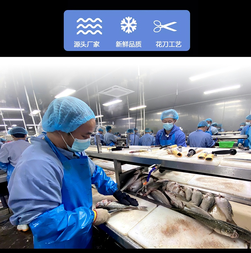 金凤鱼