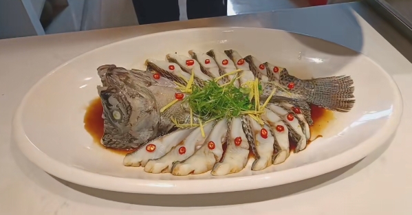 凤凰斑黑虎斑