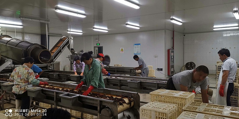 龙虾生产车间-三珍食品官网