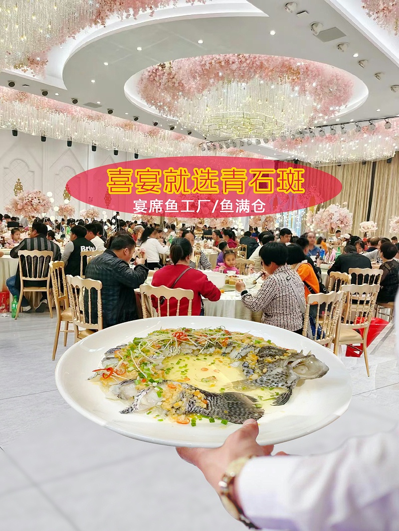 喜宴宣青石斑